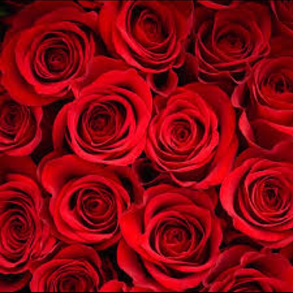 Meet your Posher, Wafaa